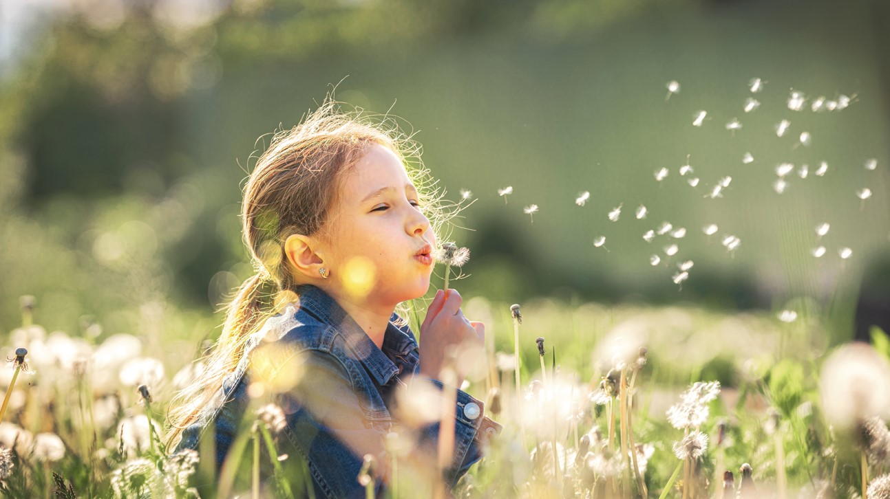 Taking the bite out of seasonal allergy symptoms